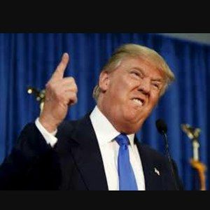 Meet your Posher, Ryley